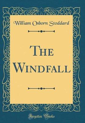 Book cover for The Windfall (Classic Reprint)