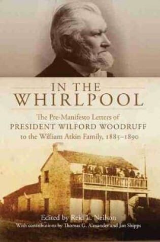 Cover of In the Whirlpool