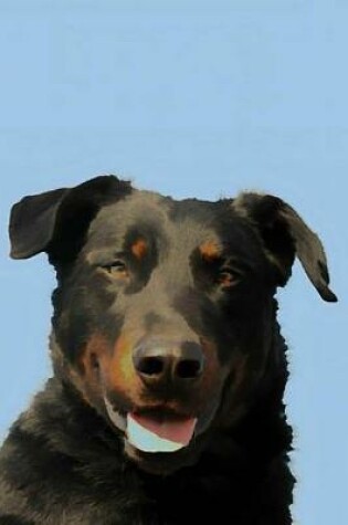 Cover of Beauceron