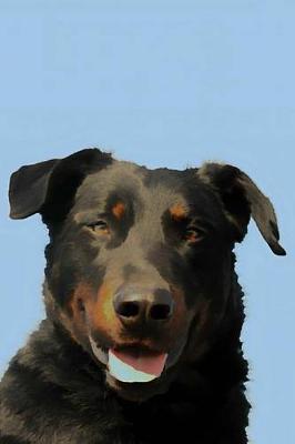 Book cover for Beauceron