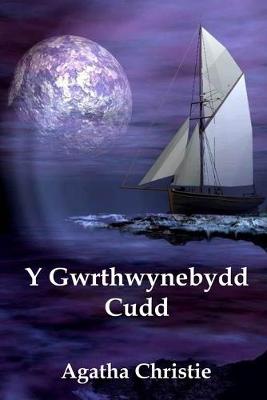 Book cover for Y Gwrthwynebydd Cudd