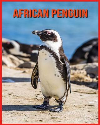 Book cover for African Penguin