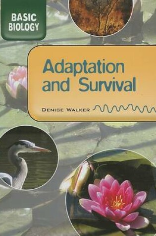 Cover of Adaptation & Survival