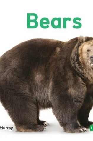 Cover of Bears