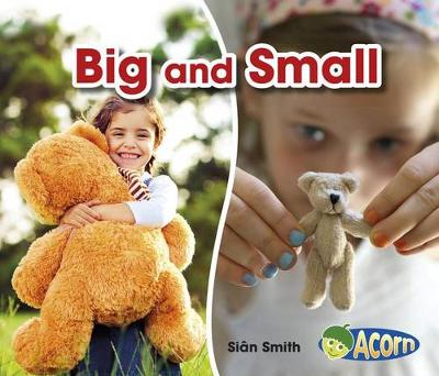Book cover for Big and Small (Opposites)