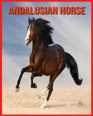 Book cover for Andalusian Horse