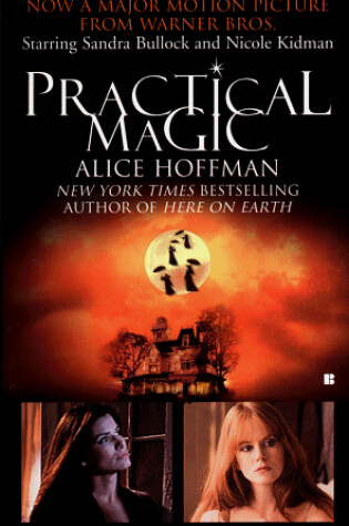 Cover of Practical Magic