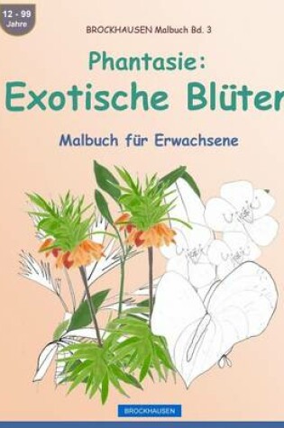 Cover of BROCKHAUSEN Malbuch Bd. 3 - Phantasie