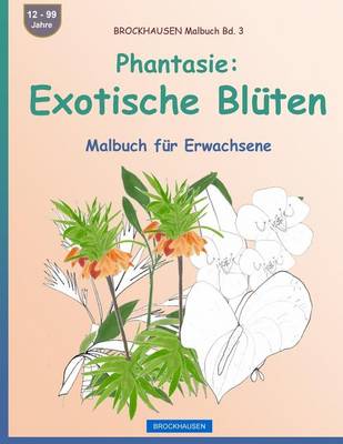 Book cover for BROCKHAUSEN Malbuch Bd. 3 - Phantasie