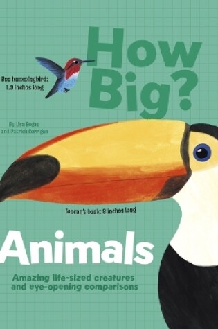 Cover of How Big? Animals