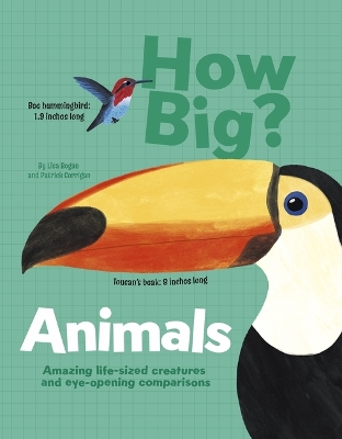 Book cover for How Big? Animals