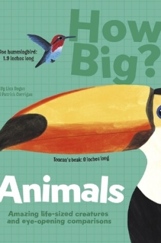 Cover of How Big? Animals