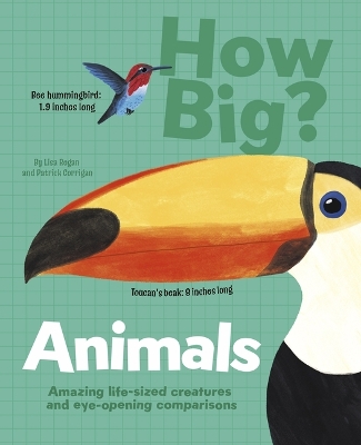 Book cover for How Big? Animals