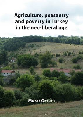 Book cover for Agriculture, Peasantry and Poverty in Turkey in the Neo-Liberal Age