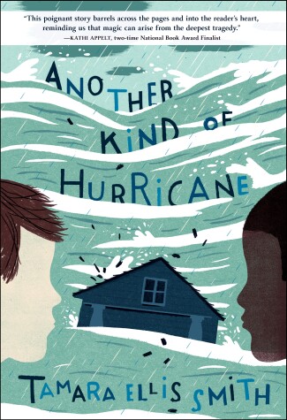Book cover for Another Kind Of Hurricane