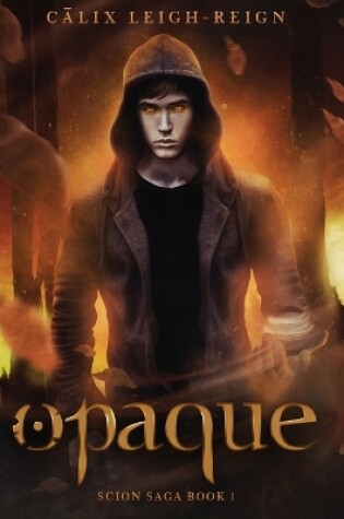 Cover of Opaque