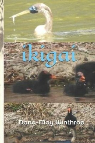 Cover of Ikigai