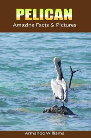 Cover of Pelican