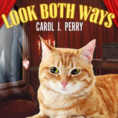 Book cover for Look Both Ways