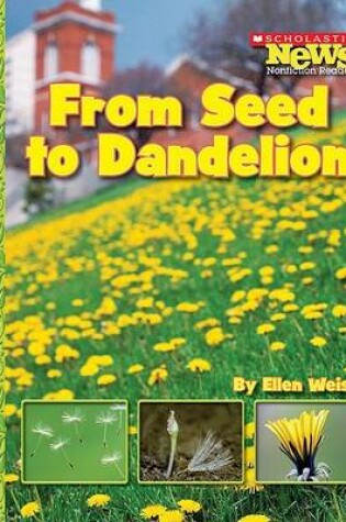 Cover of From Seed to Dandelion