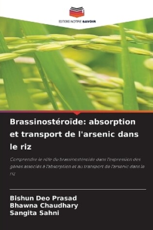 Cover of Brassinostéroïde