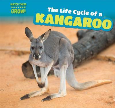 Cover of The Life Cycle of a Kangaroo