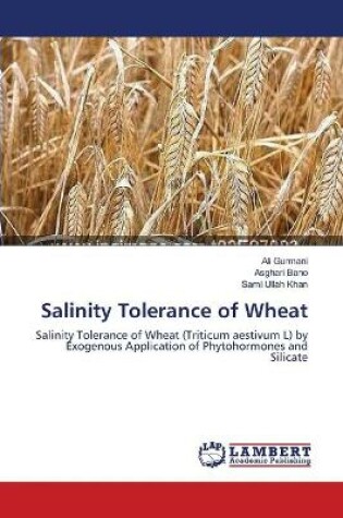 Cover of Salinity Tolerance of Wheat