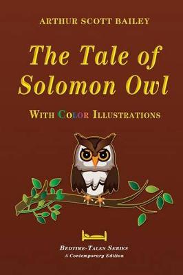 Book cover for The Tale of Solomon Owl - With Color Illustrations