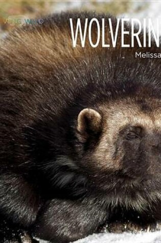 Cover of Wolverines