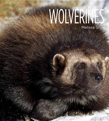 Cover of Wolverines