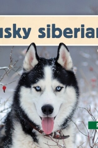 Cover of Husky Siberiano (Siberian Huskies)