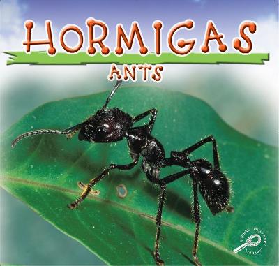 Book cover for Hormigas