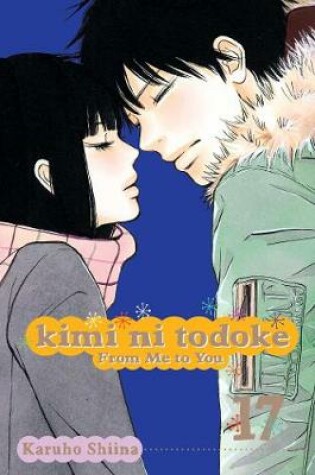 Cover of Kimi ni Todoke: From Me to You, Vol. 17