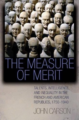 Book cover for The Measure of Merit