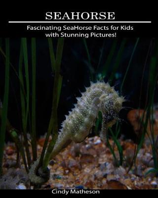 Book cover for SeaHorse