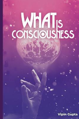 Book cover for What Is Consciousness