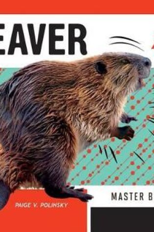 Cover of Beaver: Master Builder
