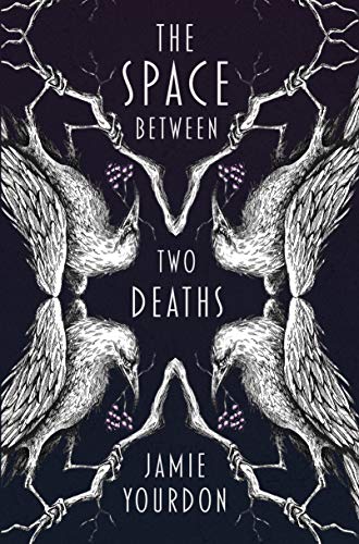 Cover of The Space Between Two Deaths