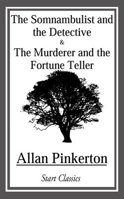 Book cover for Somnambulist and the Detective and The Murderer and the Fortune Teller