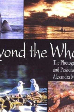 Cover of Beyond the Whales