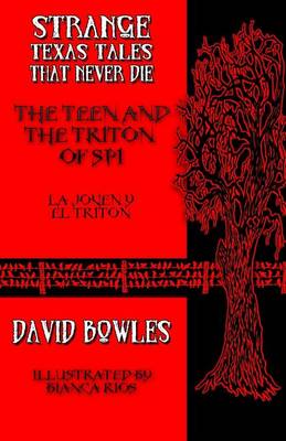 Book cover for The Teen and the Triton of SPI