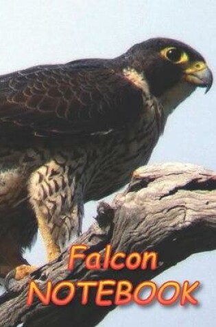 Cover of Falcon NOTEBOOK