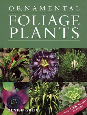 Book cover for Ornamental Foliage Plants