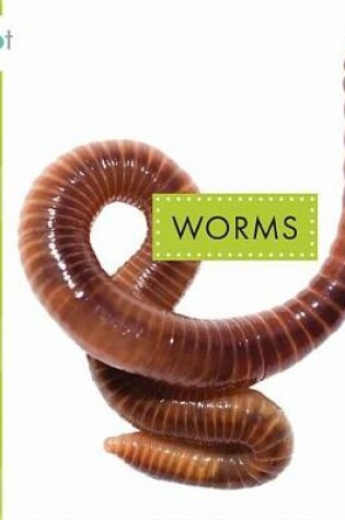 Cover of Worms