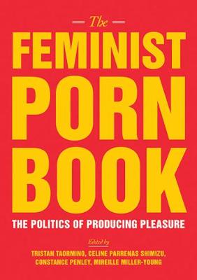 Book cover for Feminist Porn Book