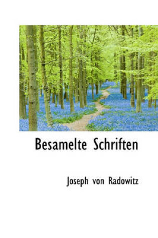 Cover of Besamelte Schriften