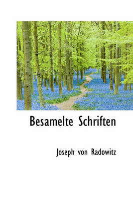 Book cover for Besamelte Schriften