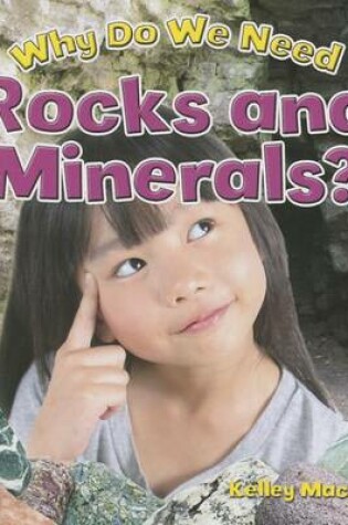 Cover of Why Do We Need Rocks and Minerals?