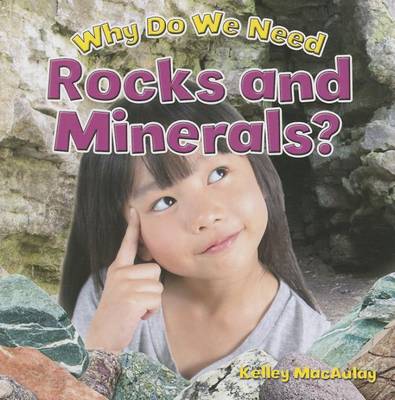 Book cover for Why Do We Need Rocks and Minerals?