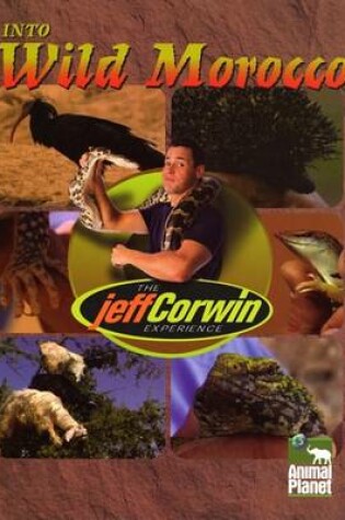 Cover of Into Wild Morocco